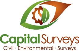 Capital Surveys